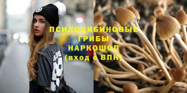винт Алексин