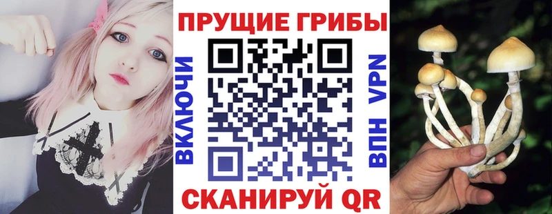 Галлюциногенные грибы Magic Shrooms  купить наркотик  Ефремов 